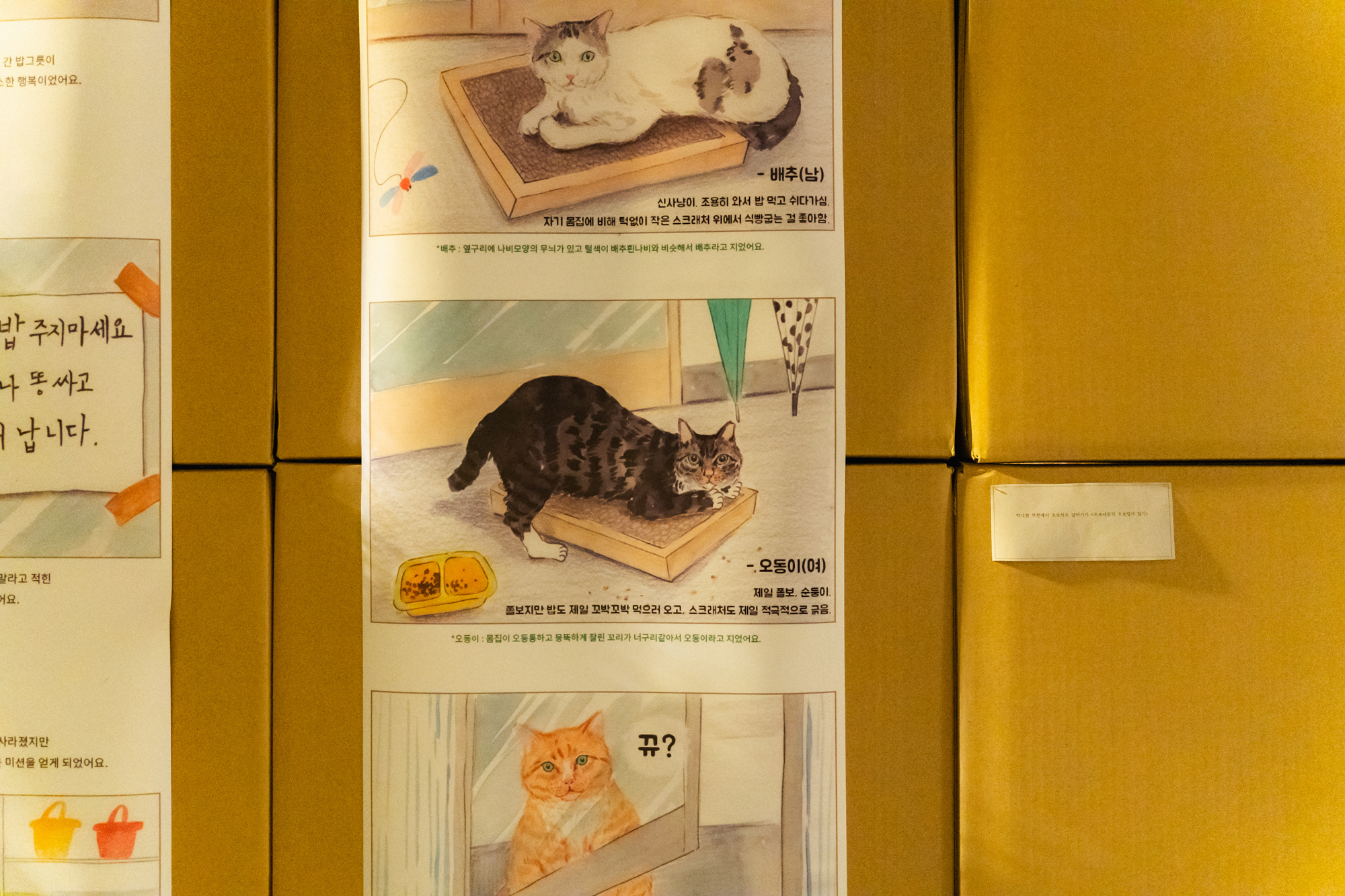   다운로드